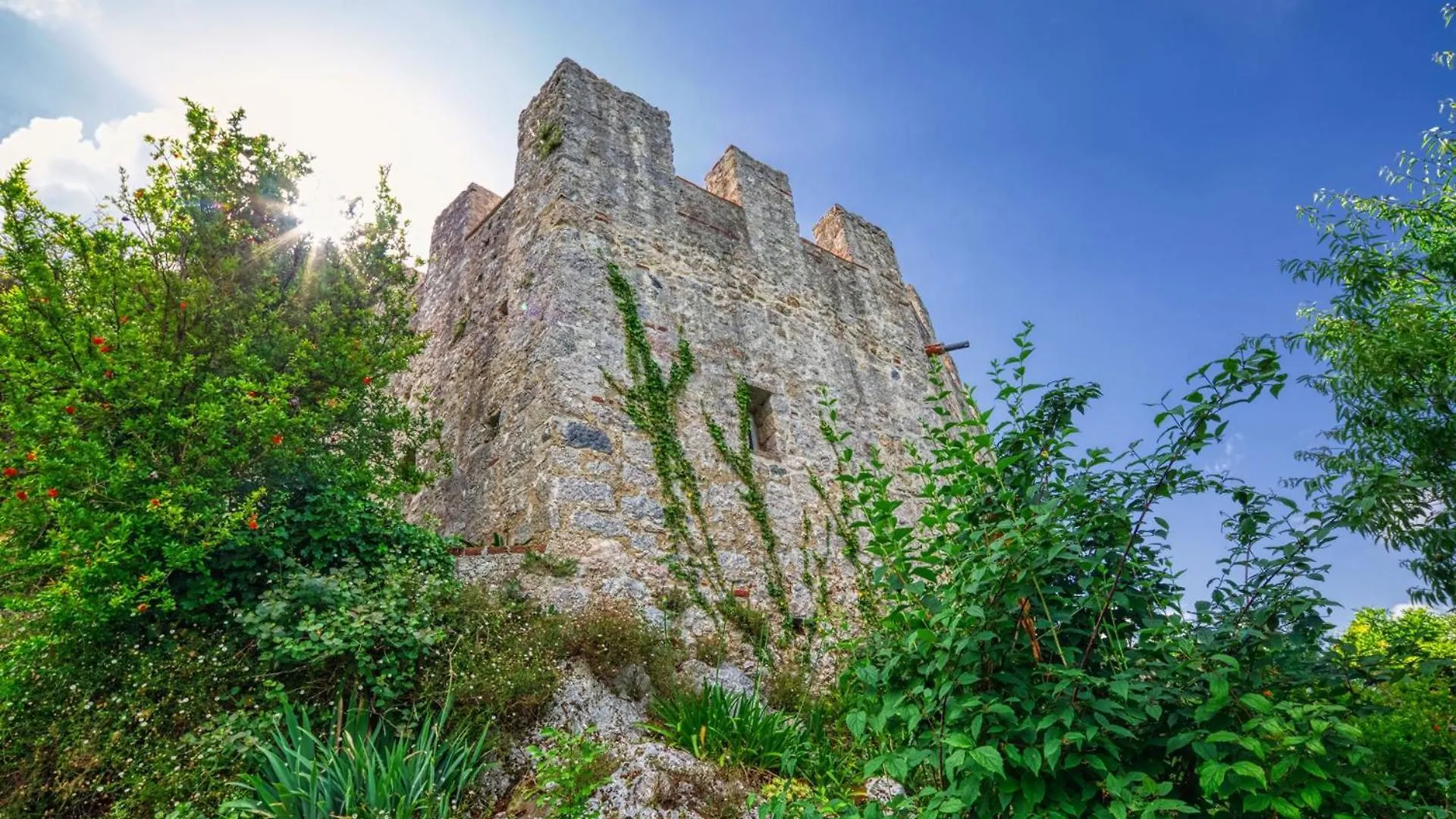 Villa La Rocca Camaiore Italia